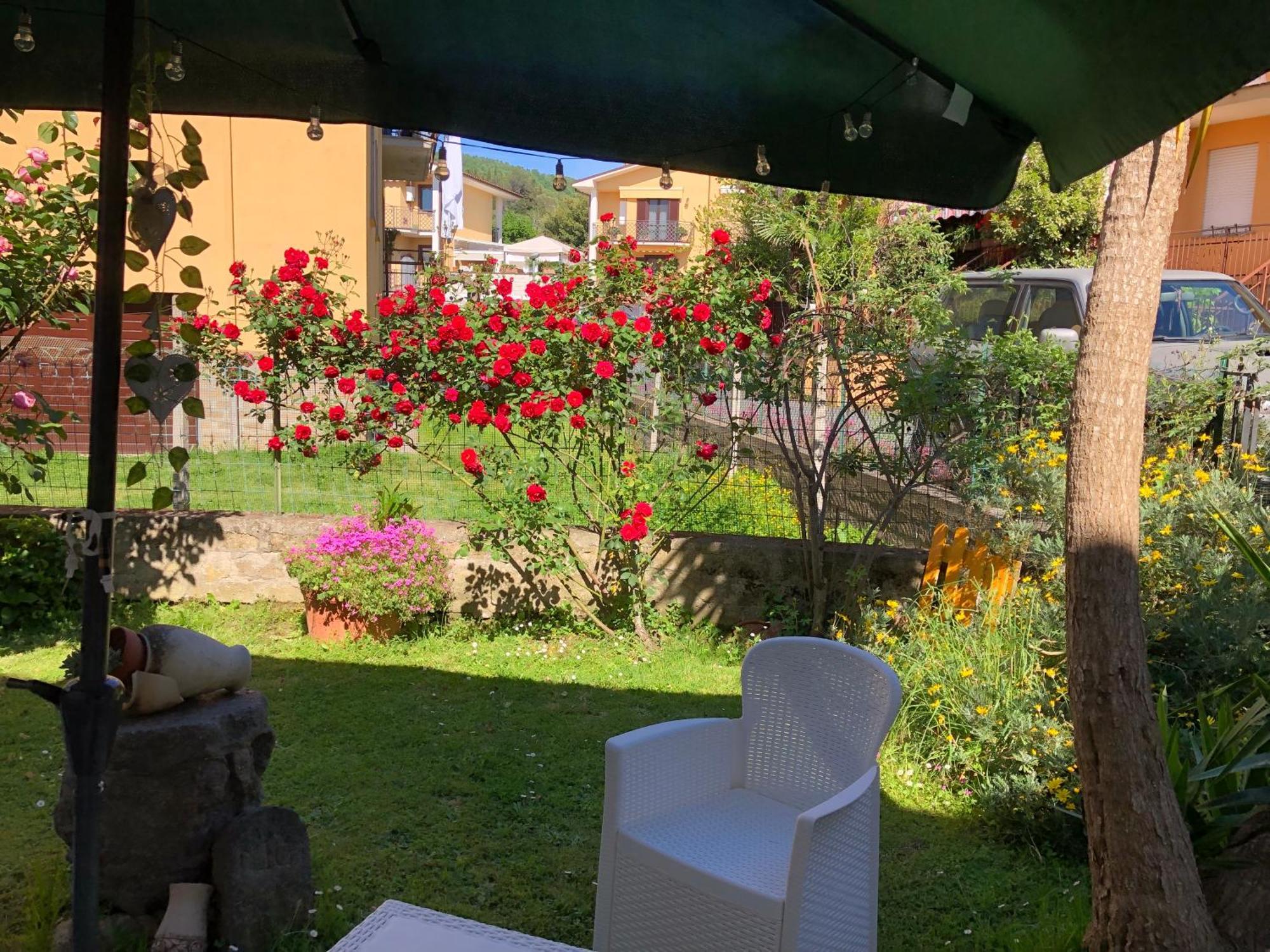 B&B Anna Bolsena Bagian luar foto